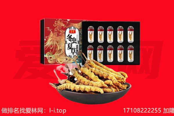 洛阳市偃师回收虫草.jpg